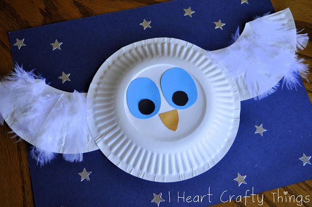 The Paper Plate Owl