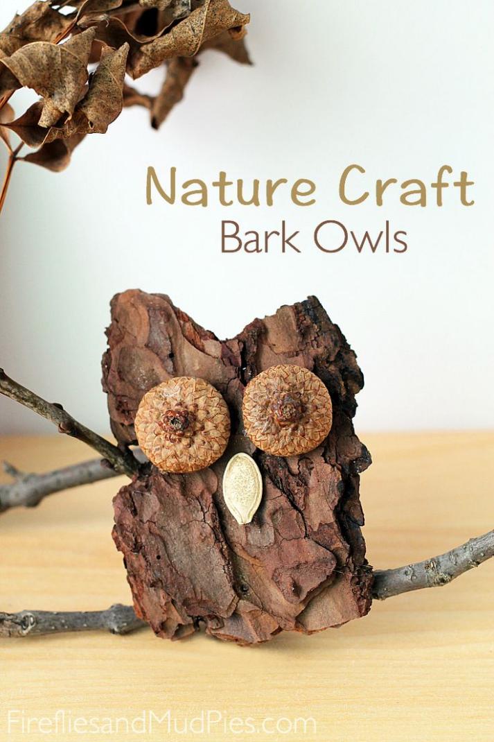 Nature Inspired Crafts Activities for Kids Nature Craft Owl 