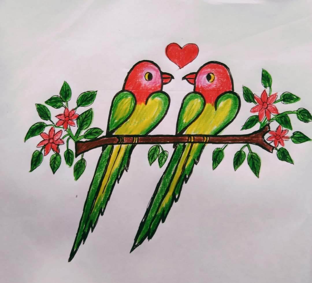Parrot Drawing For Kids Step By Step