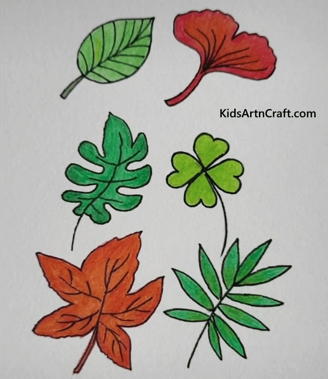 How to Draw a Leaf (Plants) Step by Step | DrawingTutorials101.com