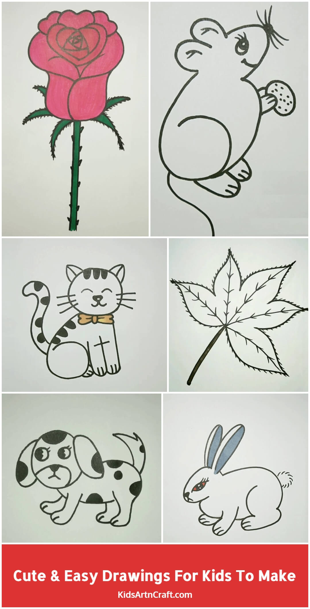 105 Cute & Easy Animal Drawing Tutorials | Easy Drawing Guides