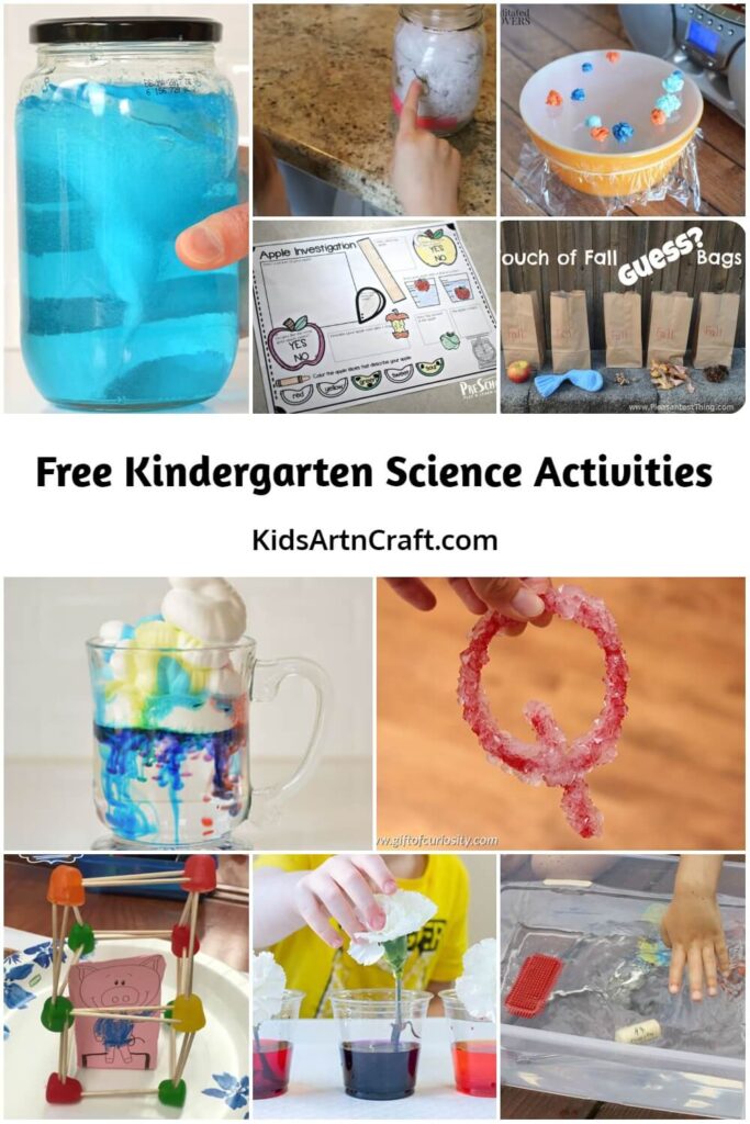 Free Kindergarten Science Activities - Kids Art & Craft