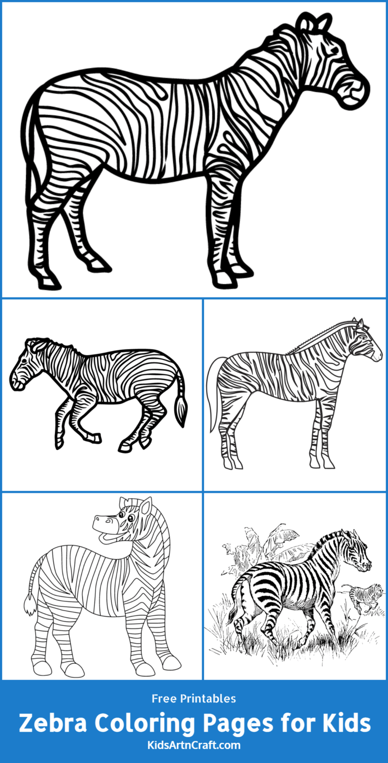 Zebra Coloring Pages for Kids - Free Printables - Kids Art & Craft