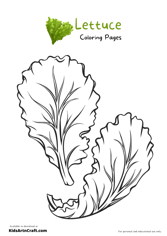 Lettuce Coloring Pages For Kids – Free Printables - Kids Art & Craft