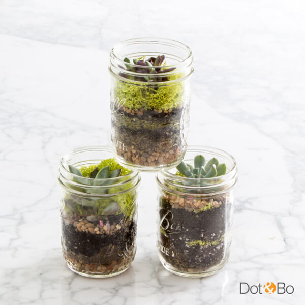 DIY Glass Jar Terrarium Ideas