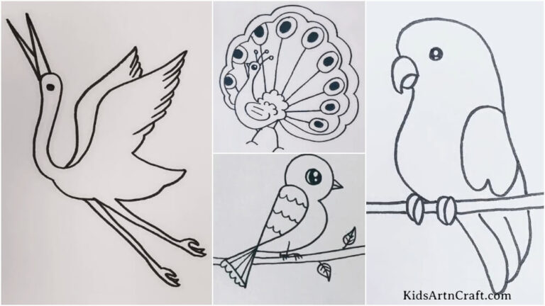 Easy Birds Drawings for Kids - Kids Art & Craft