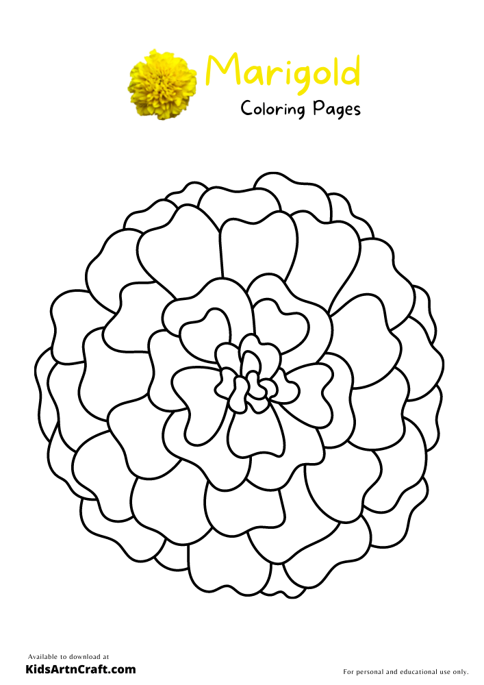 Marigold Coloring Pages For Kids Free Printables Kids Art Craft