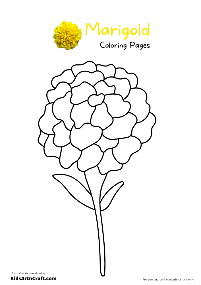 Marigold Coloring Pages For Kids Free Printables Kids Art Craft