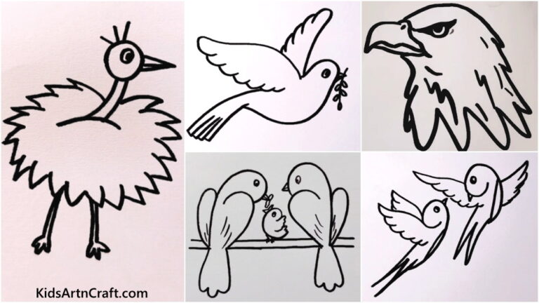 Easy Guide On Birds Drawings For Kids - Kids Art & Craft