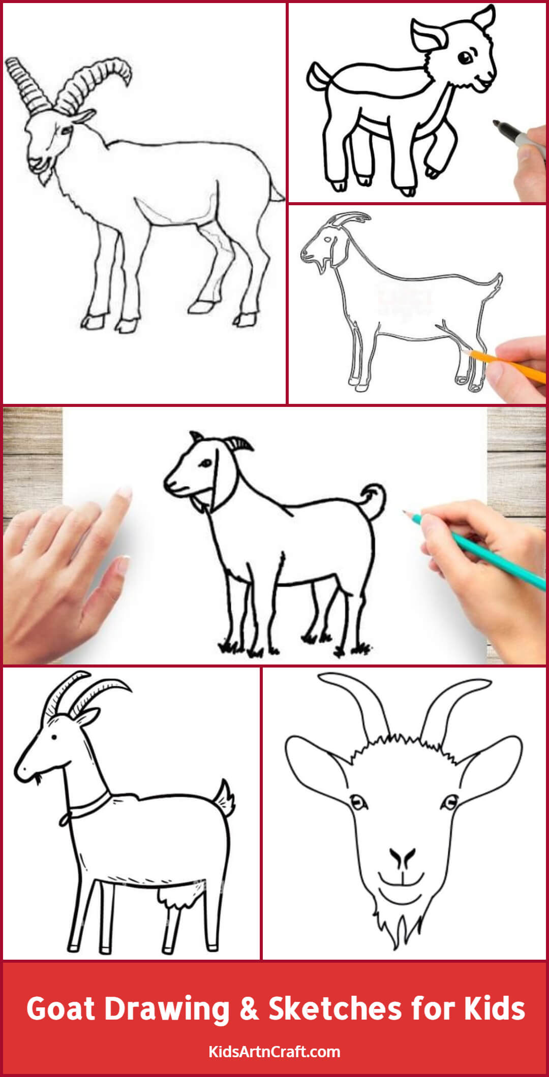 How to Draw a Goat  Another Easy Animal Drawing Tutorial