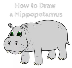 Hippo Drawing & Sketches for Kids - Kids Art & Craft