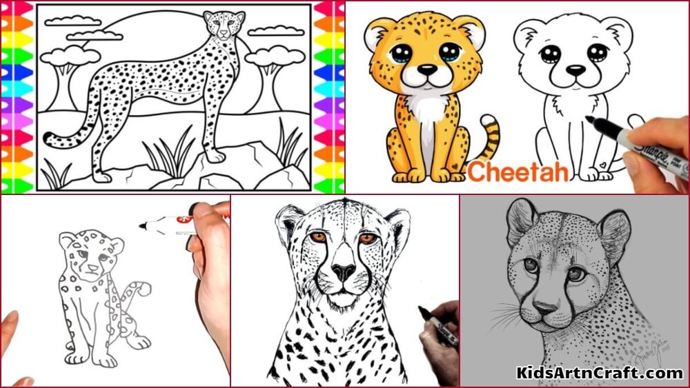 How to Draw Cartoon Cheetahs with Easy Step by Step Drawing Instructions |  How to Draw Step by Step Drawing Tutorials