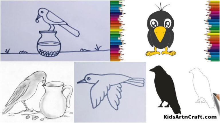 Crow Drawing & Sketches for Kids - Kids Art & Craft