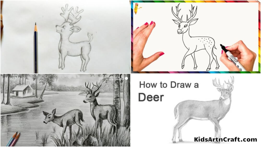 deer drawing sketches for kids Kidsartncraft Featured