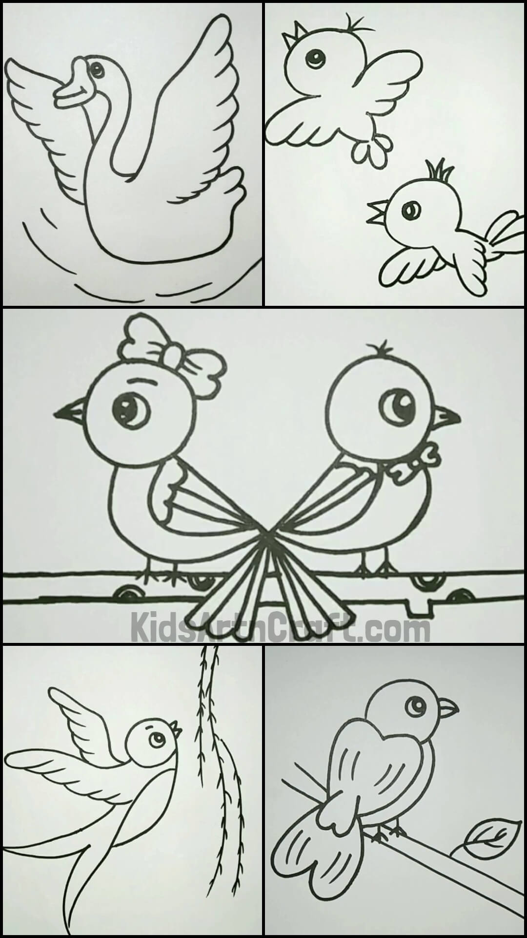 Easy How to draw a Bird and Bird Coloring Page