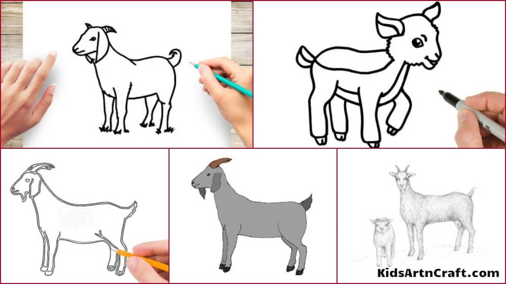 Wild Goat Pencil Drawing - How to Sketch Wild Goat using Pencils :  DrawingTutorials101.com