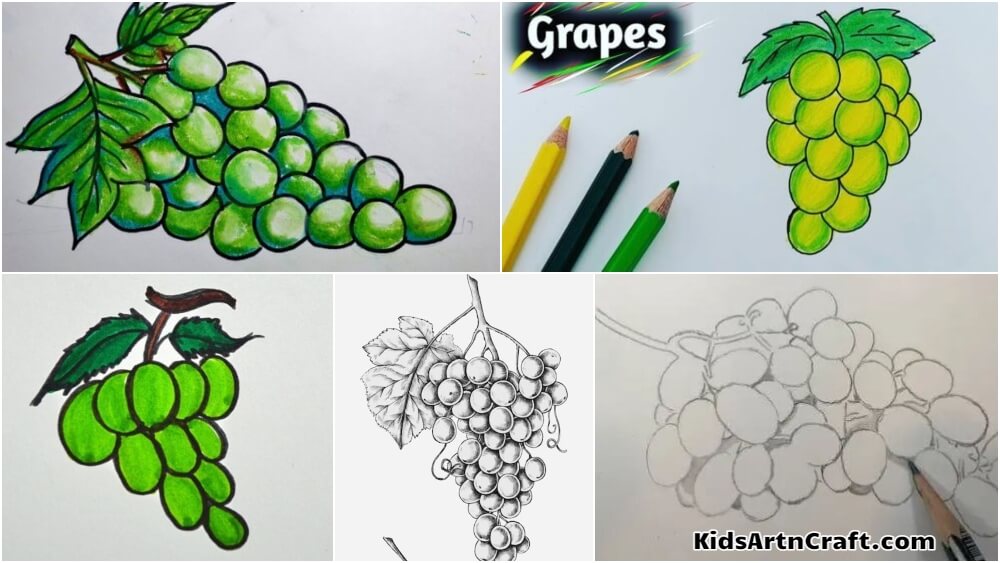 How to Draw A Bunch of Grapes? - Drawing with ChuChu - ChuChu TV Drawing  for Kids Easy Step by Step - YouTube
