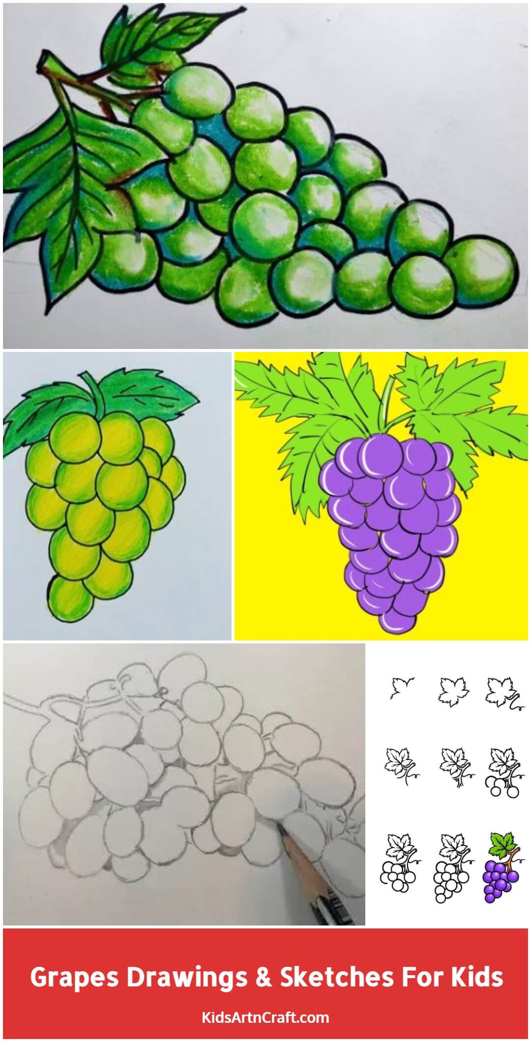 How to Draw Grapes Step by Step  EasyLineDrawing