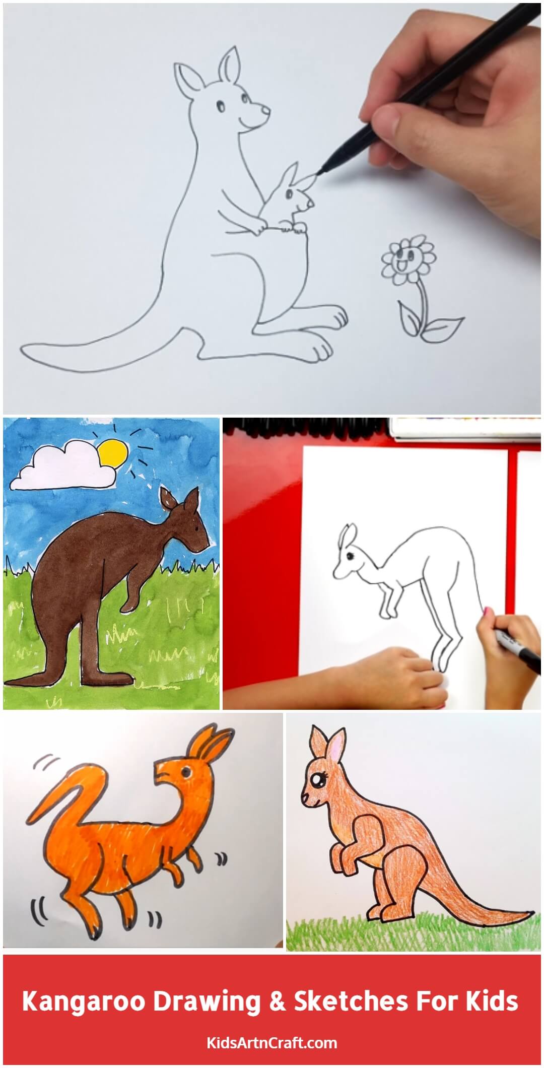 Kangaroo Drawing & Sketches For Kids - Kids Art & Craft