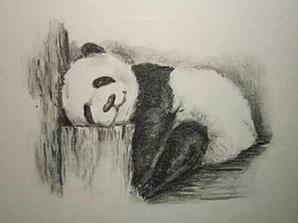 How To Draw a Panda 10 Easy Drawing Projects
