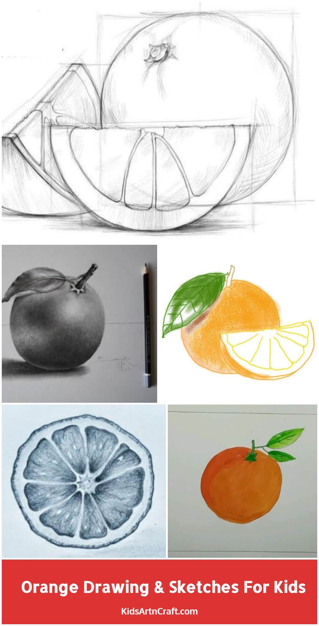 Drawing tutorial for kids. Education worksheet. How to draw orange. Step by  step. Graphic task for preschool and school children with color palette.  Art with fruit. Vector illustration. 26337579 Vector Art at