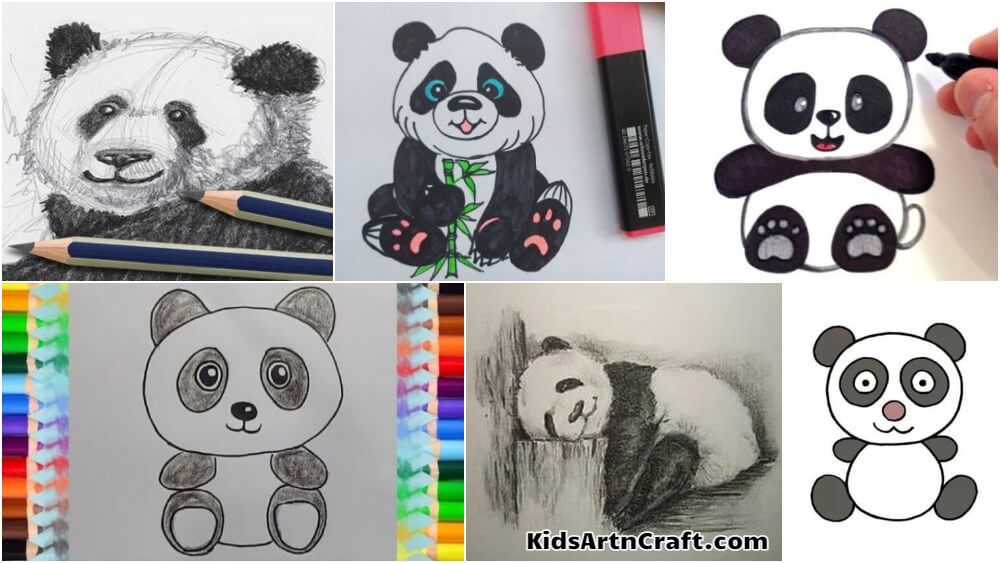 How to Draw a Panda | Panda drawing, Drawings, Draw