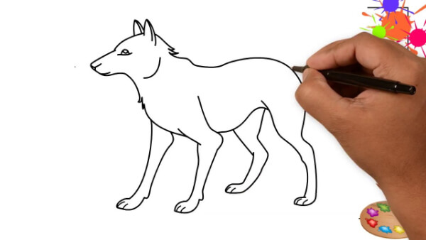 Wolf Drawings & Sketches For Kids - Kids Art & Craft