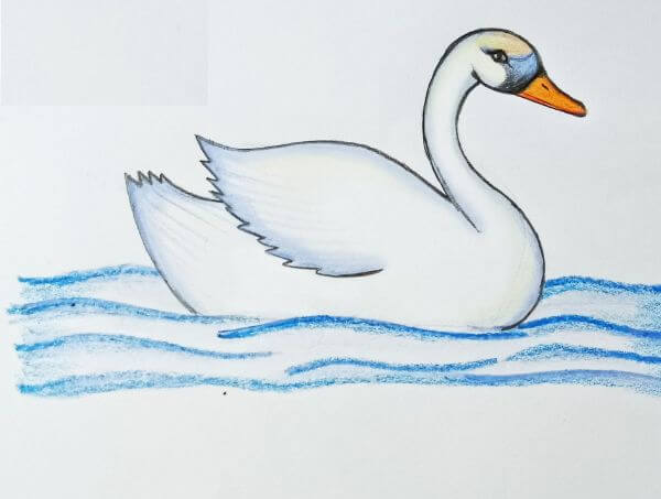 How to draw two Swans from heart/Easy swan drawing idea step by  step/#swandrawing#drawingtutorial - YouTube