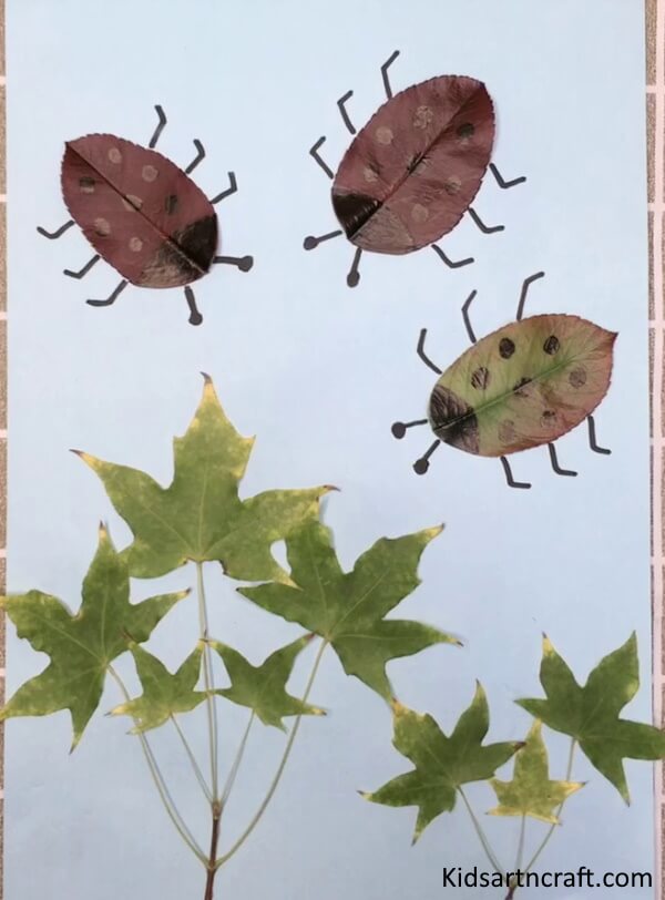 Learn How To Make Amazing Art Of Leaves Ladybug Craft Idea For Kids