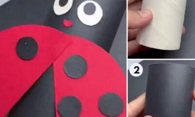 How to Make Ladybug with Toilet Paper Roll