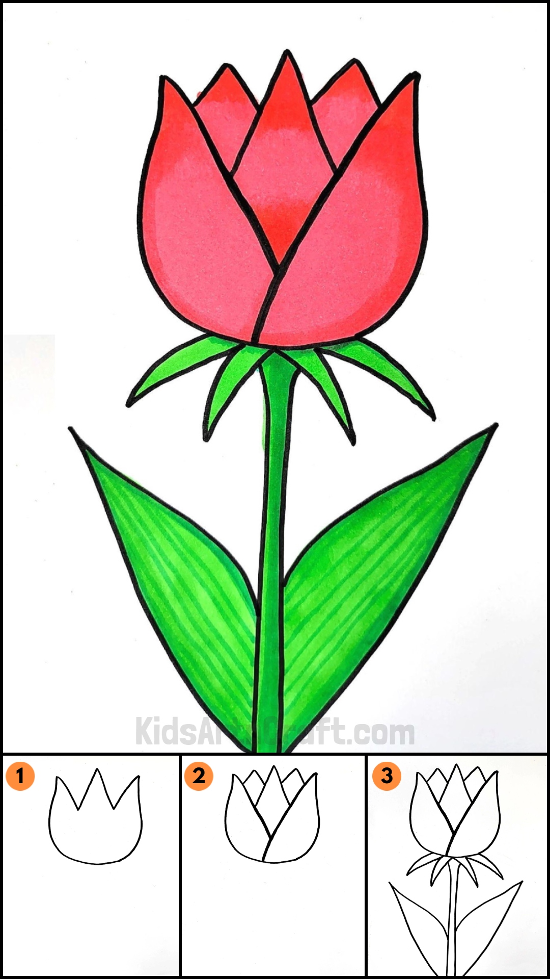Flowers Drawing For Kids png images | PNGWing