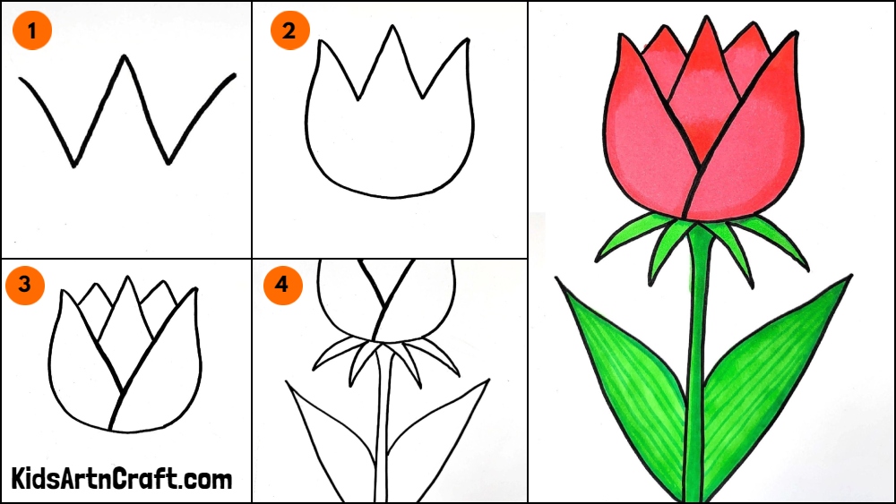 Tulip Flower Drawing Easy Tutorial For Kids - Kids Art & Craft